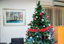 Home decor ideas for the festive season pexels photo