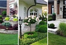 Front Yard landscaping Ideas That Will Revolutionize Your Home Front Yard landscaping Ideas That Will Revolutionize Your Home