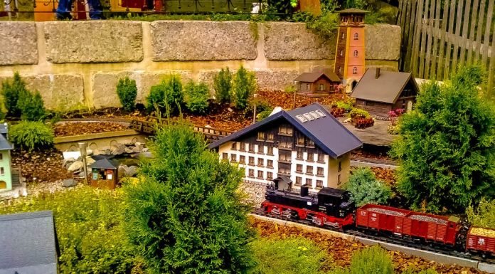 Garden Ideas to Transform Your Outdoor Space