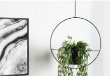 The best way to choose Hanging Planters to décor your home