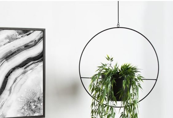 The best way to choose Hanging Planters to décor your home