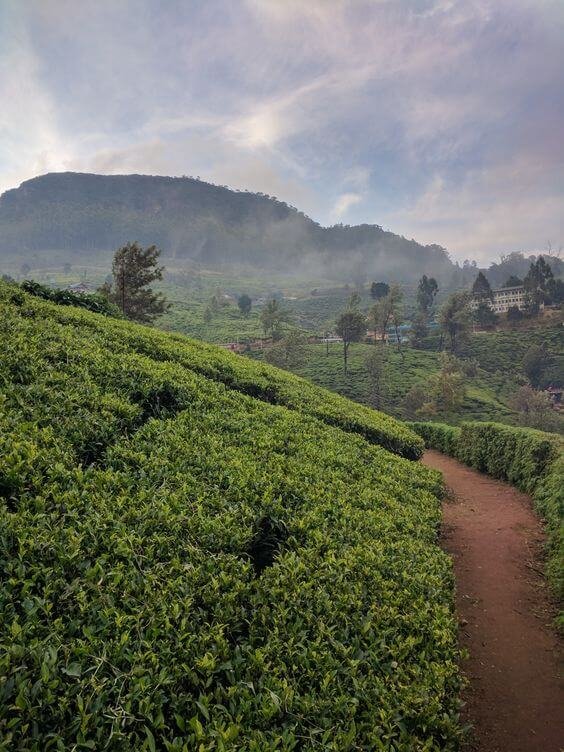 Places to Visit in Ooty_4