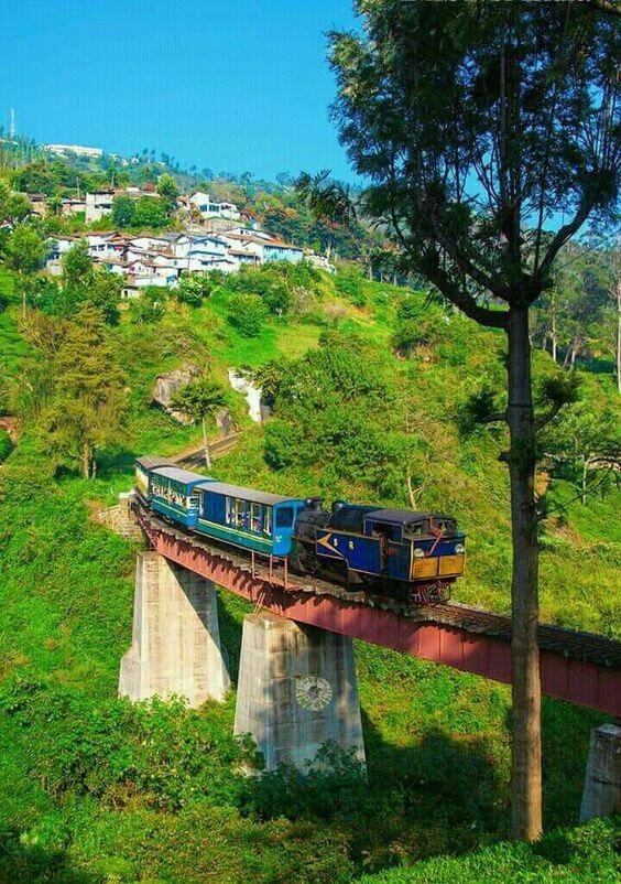 Places to Visit in Ooty_10