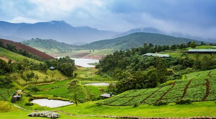10 Tourist Places near Coimbatore | Best Hill Stations near Coimbatore