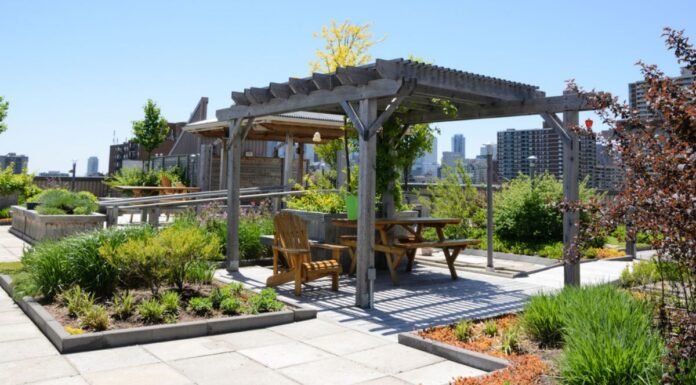 12 Simple Terrace Garden Ideas