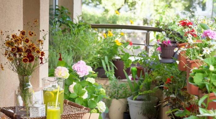 10 Best Front Balcony Design Ideas in India