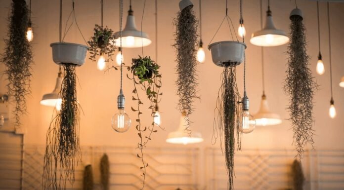 9 Contemporary Lighting Ideas