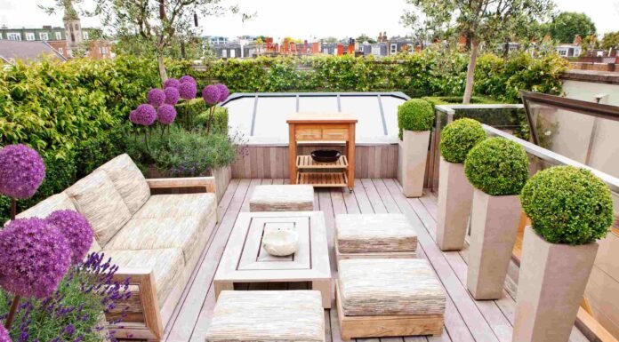 10 Terrace Garden Ideas for Small Spaces to Beautify Home