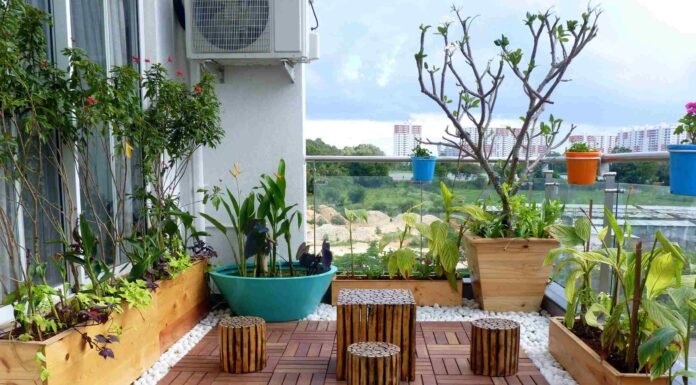 14 Terrace Garden Ideas for Small Spaces | Easy Tips