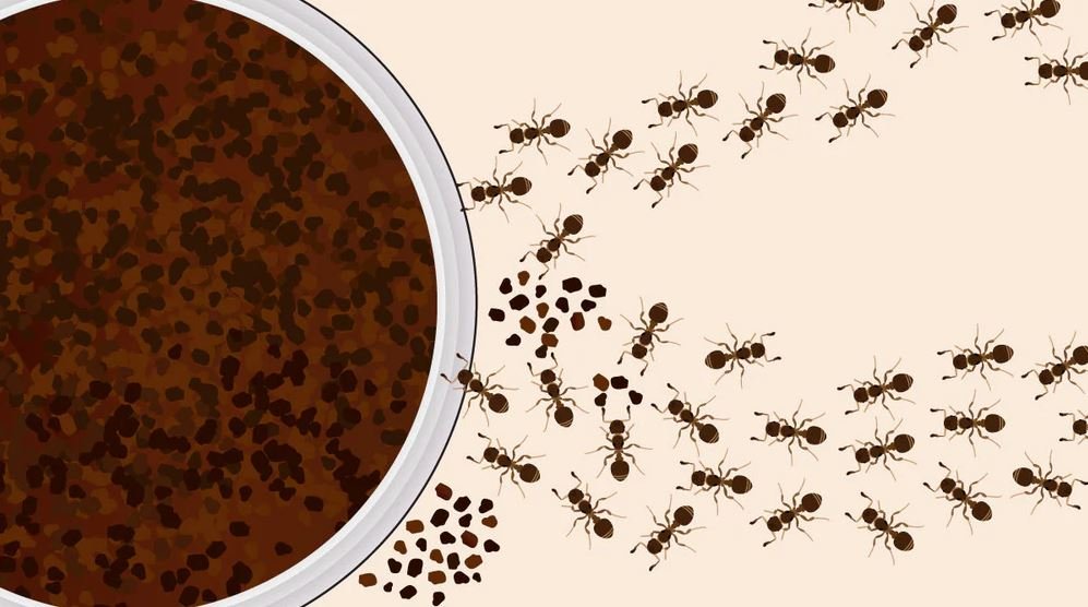 Coffee Grounds