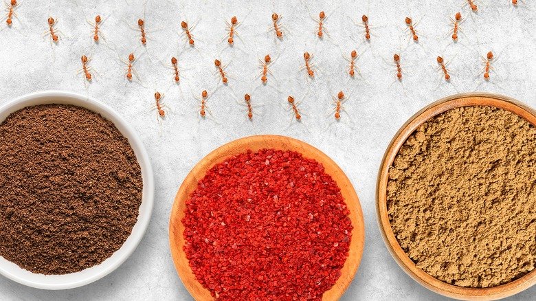 Spices
