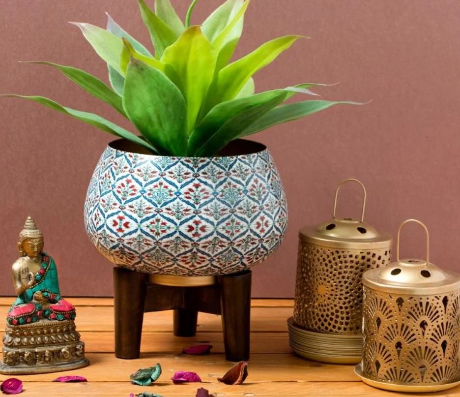 Indoor plants in traditional terracotta pots for Indian home decor